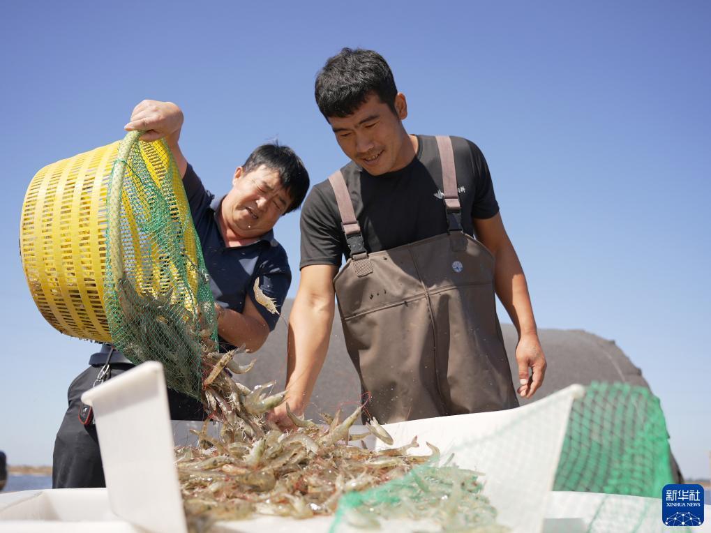 奔驰宝马游戏机下载